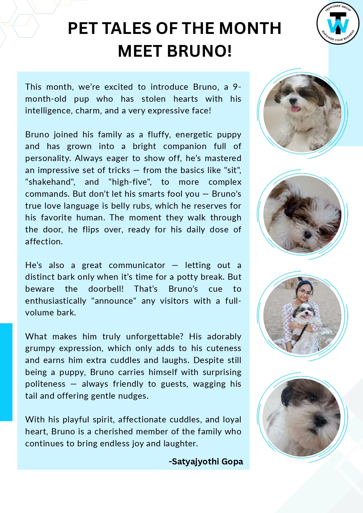 Page 3
